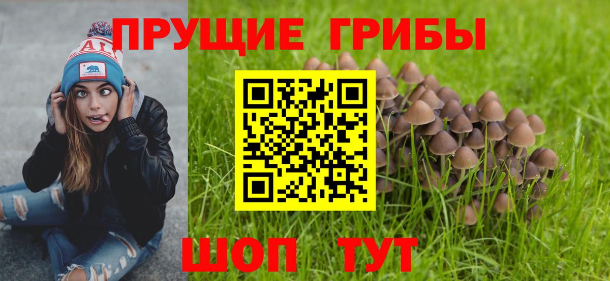 Псилоцибиновые грибы MAGIC MUSHROOMS Бузулук